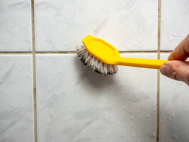 Best Fast Mold Removal  in Glasgow, MT