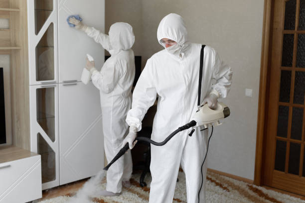 Best Mold Damage Repair  in Glasgow, MT
