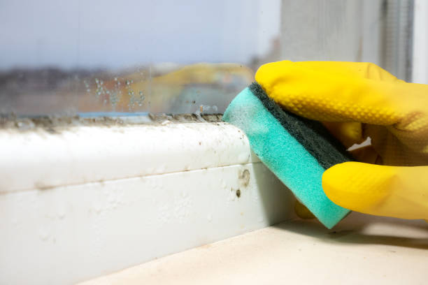Best Mold Testing  in Glasgow, MT