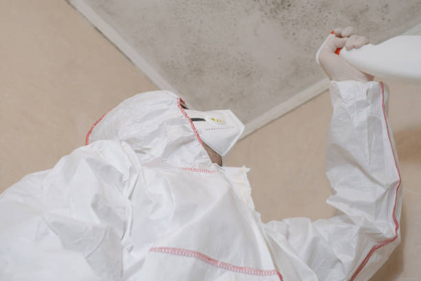 Certified Mold Removal in Glasgow, MT