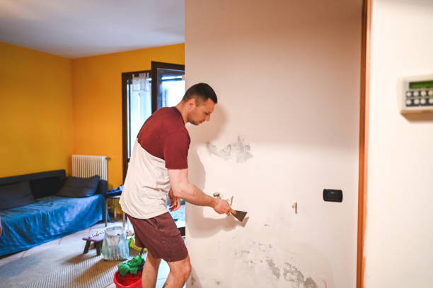 Best Attic Mold Removal  in Glasgow, MT
