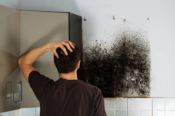 Home Mold Removal in Glasgow, MT